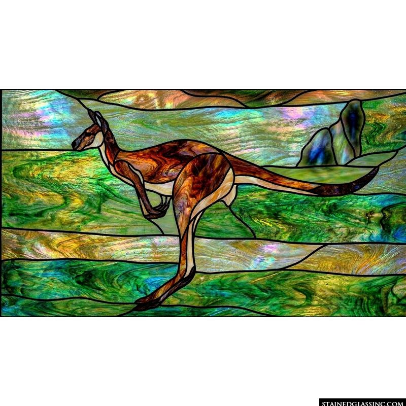 Kangaroo in the Australian Outback