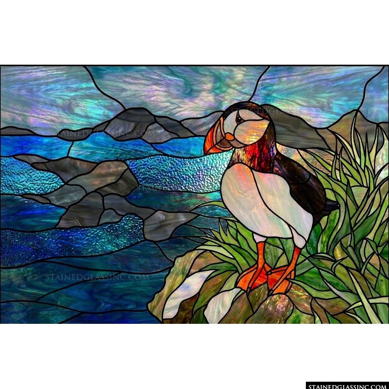 Atlantic Puffin on the Coastal Cliffs