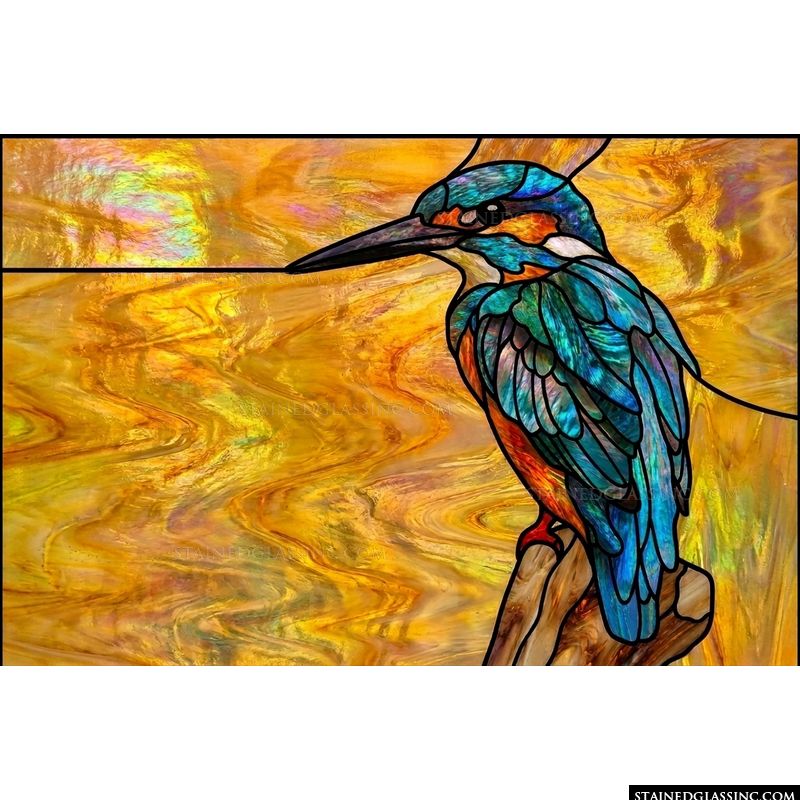 Kingfisher Perched at Sunset