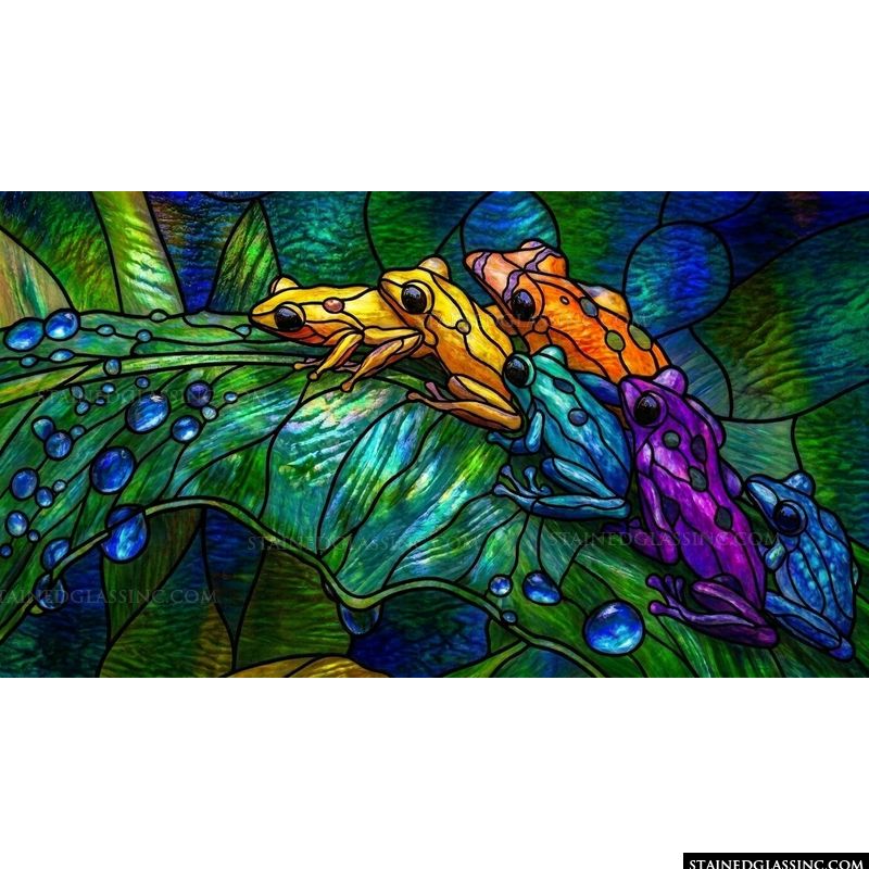 Rainforest Frogs on Dewy Foliage