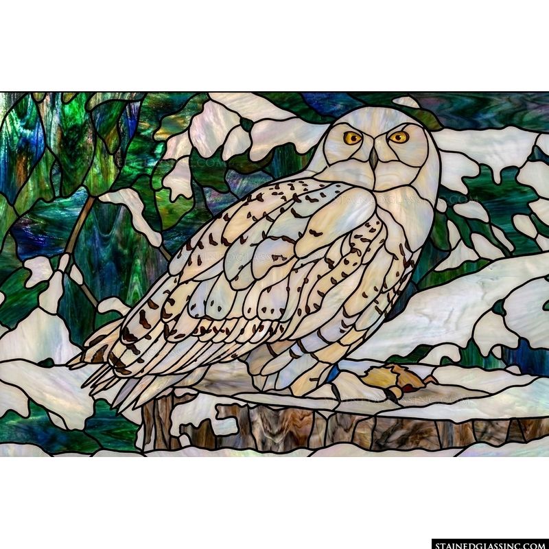 Snowy Owl in Winter Woods