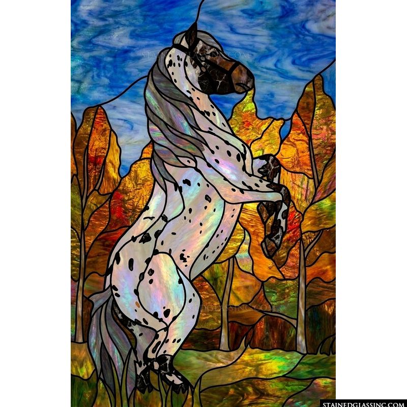 Rearing Appaloosa in Autumn Forest