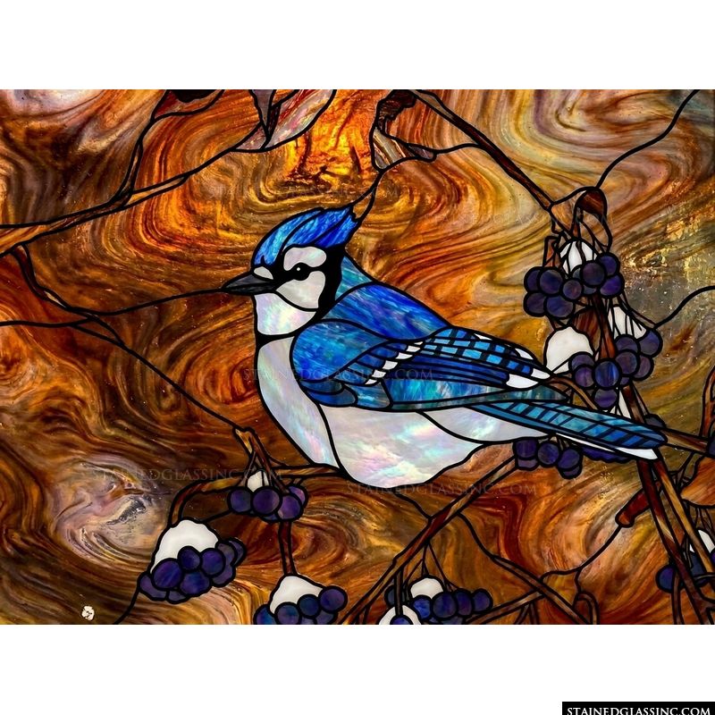 Blue Jay Perched on Berry Branch