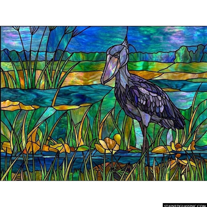 Shoebill Stork in Wetlands
