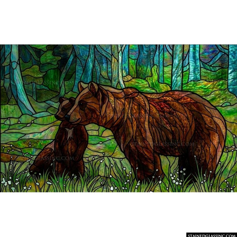 Grizzly Bear Mother and Cub in Forest
