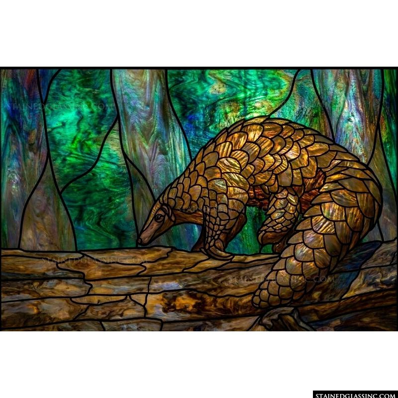 Pangolin in the Forest