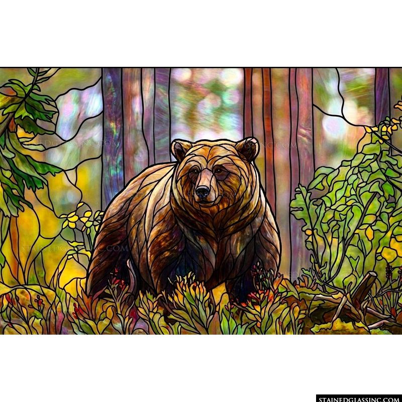 Grizzly Bear in the Forest