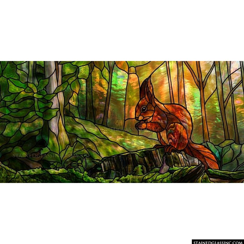Squirrel in the Forest Clearing