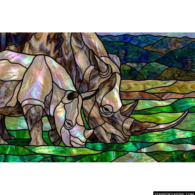 Rhinos in the Wild