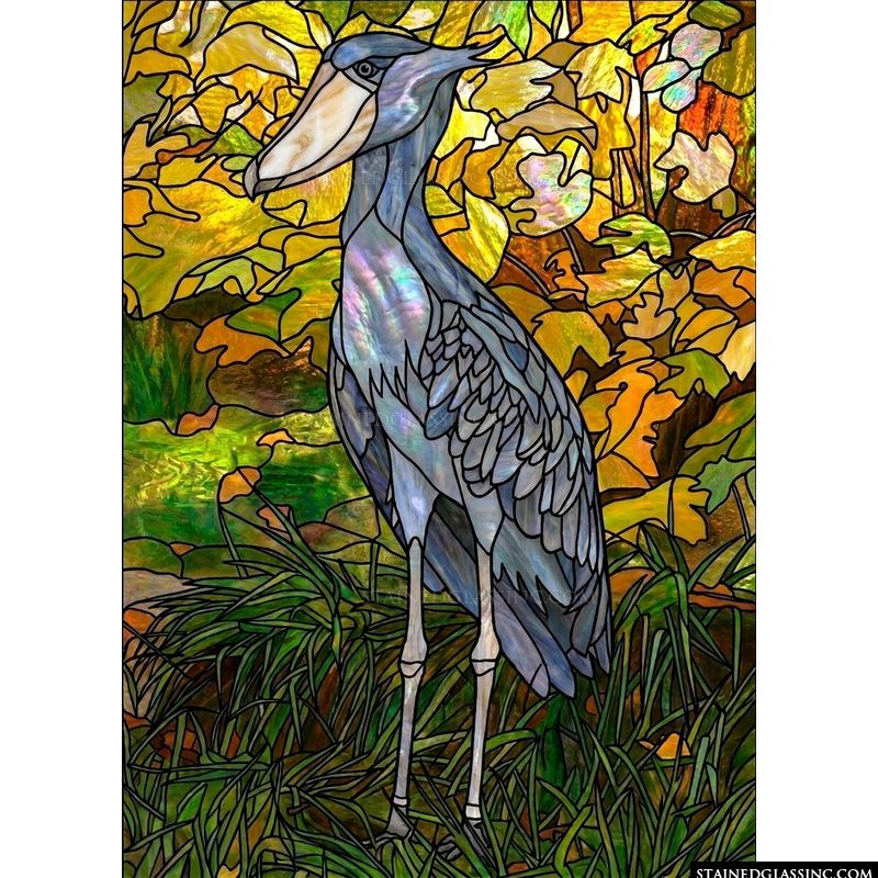 Shoebill Stork in Golden Autumn Marsh