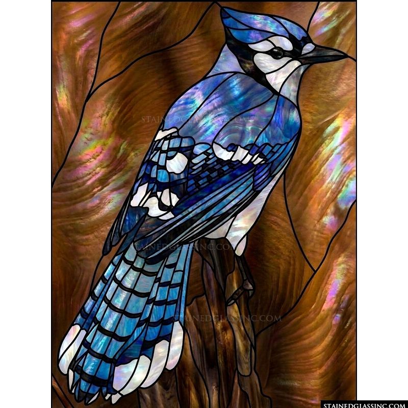 Blue Jay on a Perch