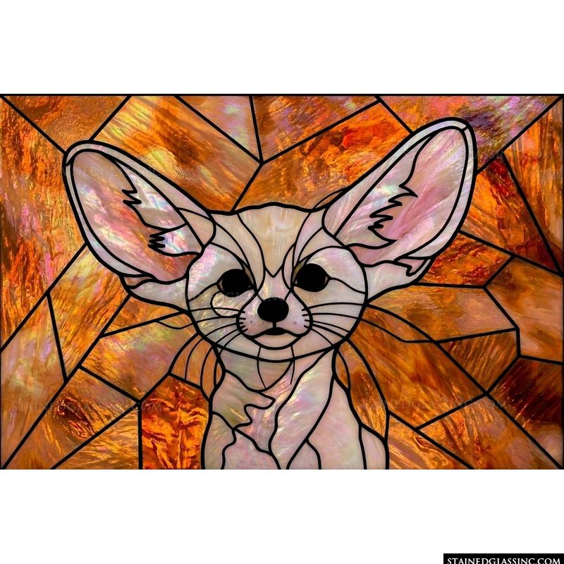 Fennec Fox Portrait
