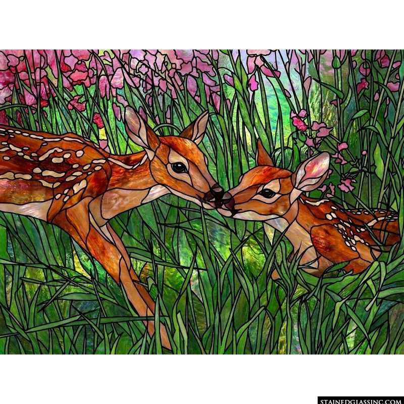 Fawn Companions in Wildflowers