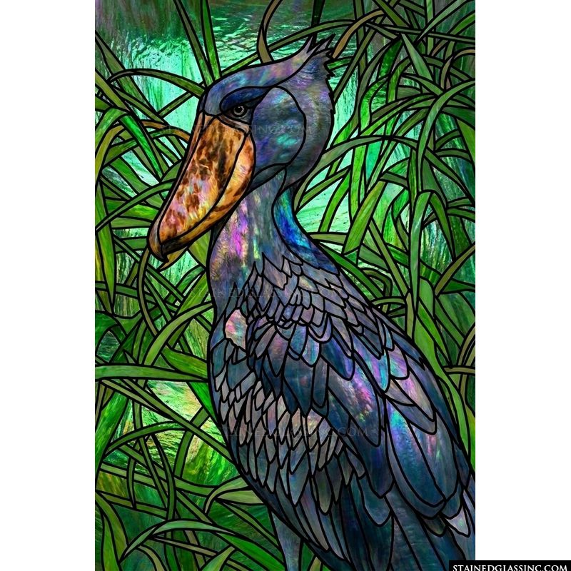Shoebill Stork in the Portrait