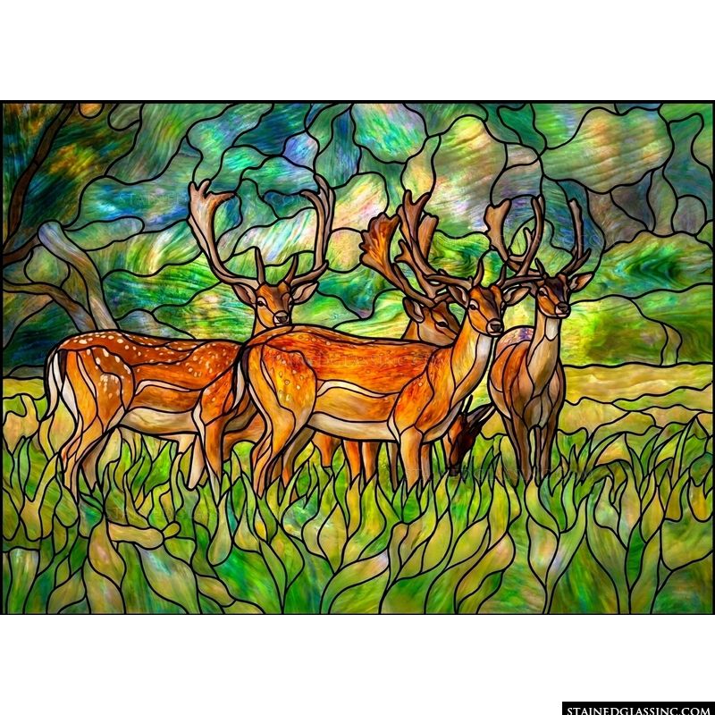 Stags in a Forest Meadow