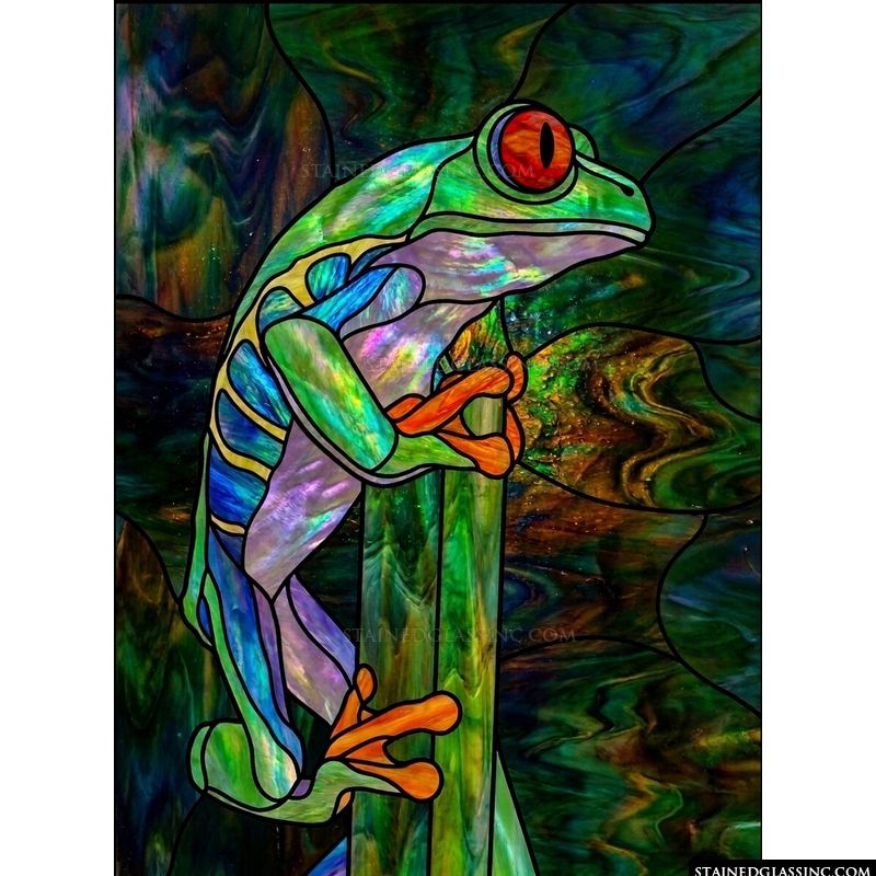 Red-Eyed Tree Frog on a Branch