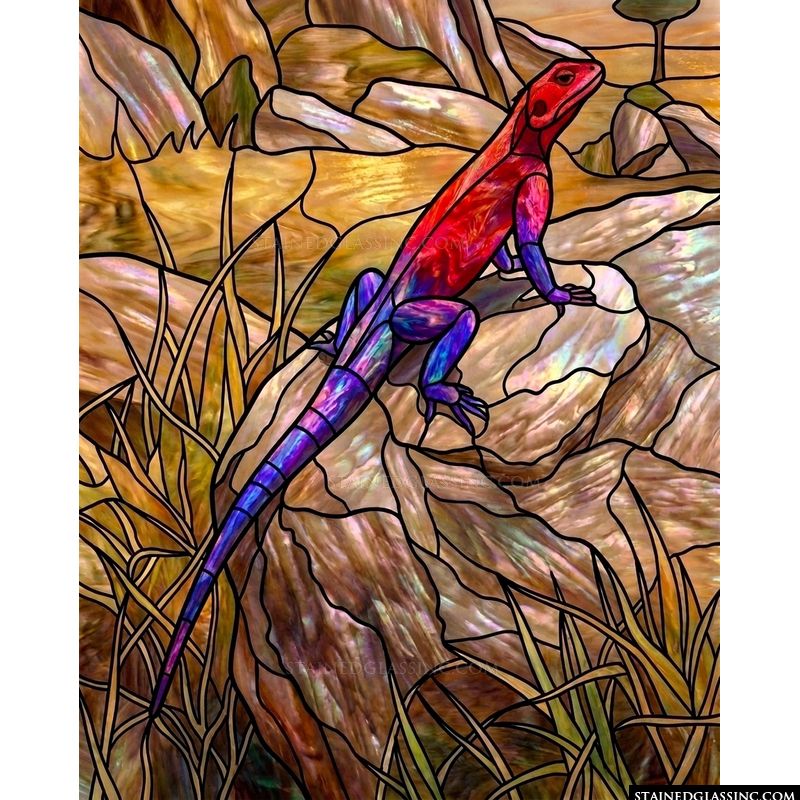 Lizard on a Sun-Drenched Rock