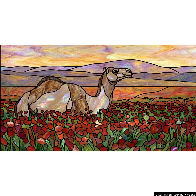 Camel in a Field of Poppies