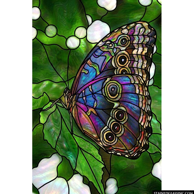 Iridescent Butterfly on Lush Foliage