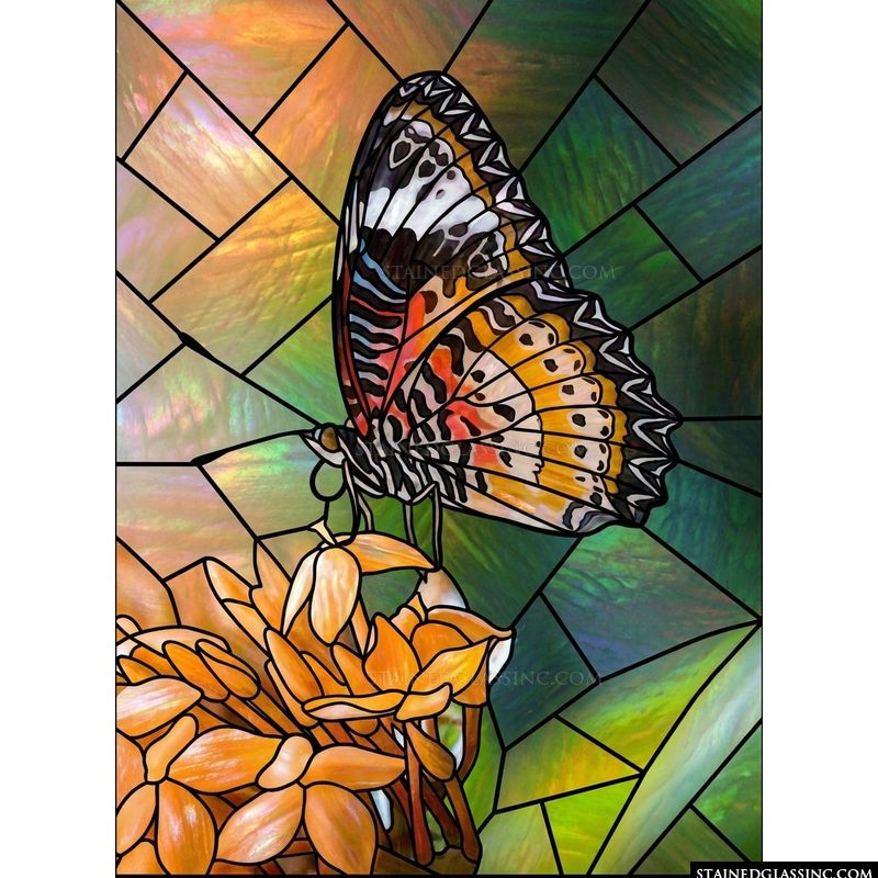 Butterfly on Orange Blooms