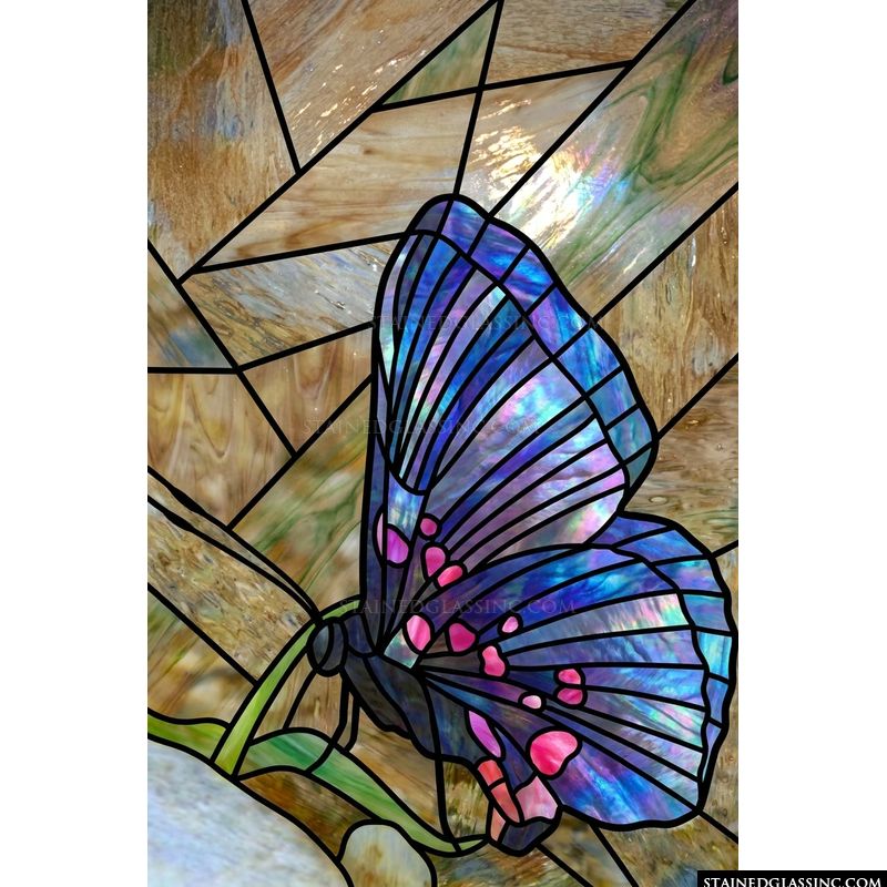 Iridescent Butterfly at Rest
