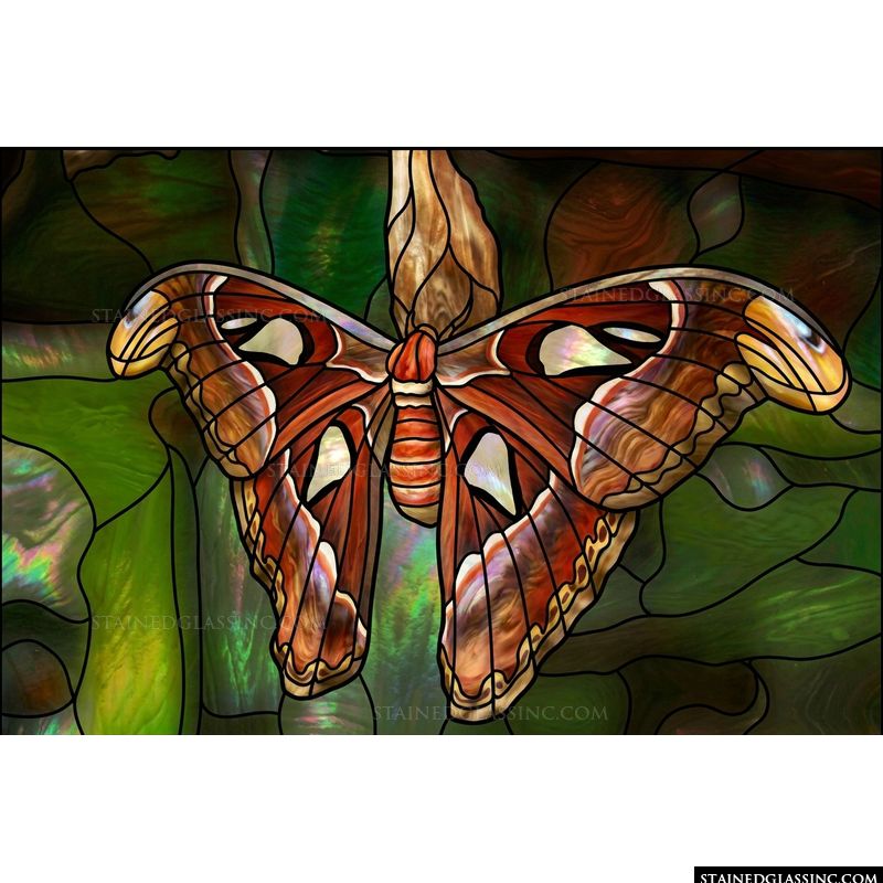 Atlas Moth in Forest Hues