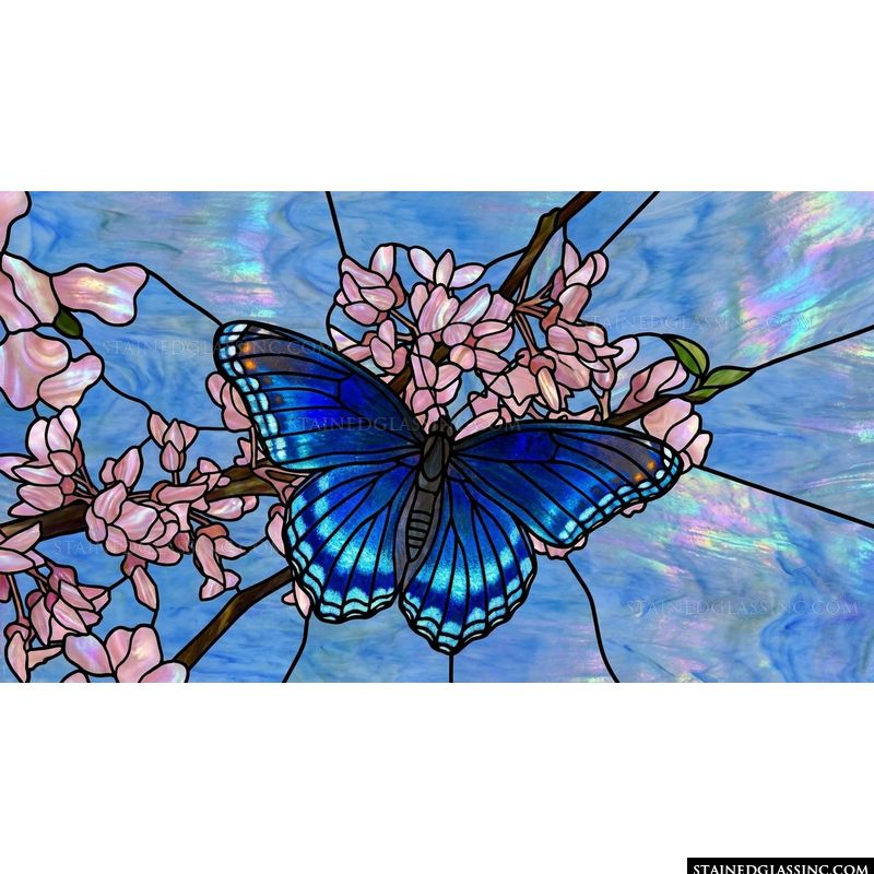 Blue Butterfly on Cherry Blossoms