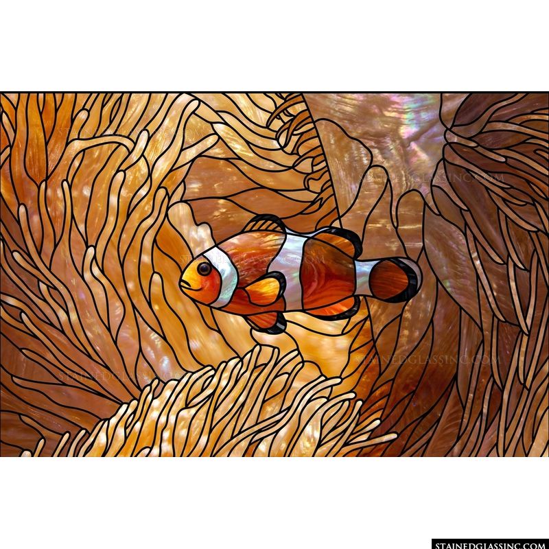 Clownfish in Amber Anemone