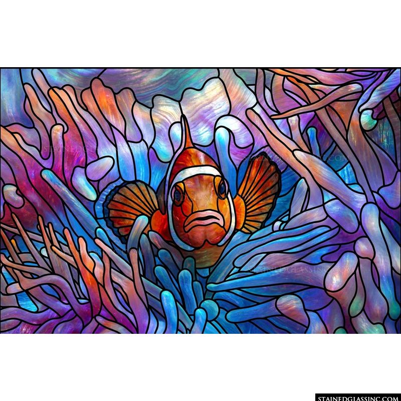Clownfish in Radiant Reef