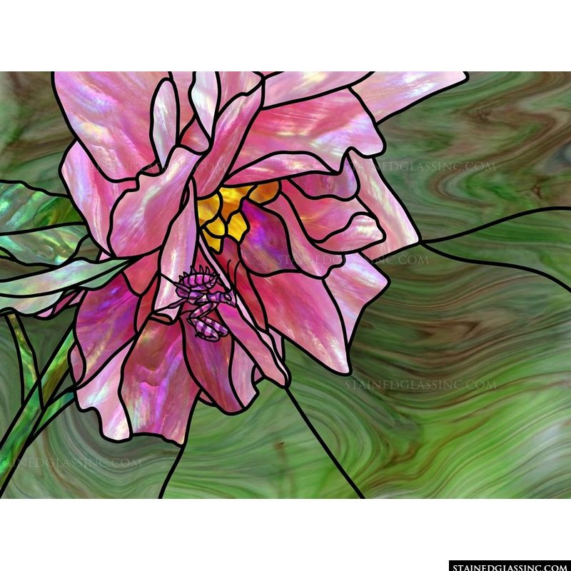 Mantis on Pink Peony