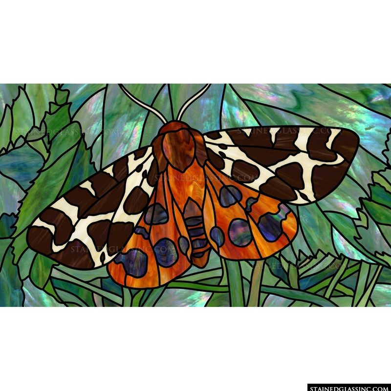 Garden Tiger Moth