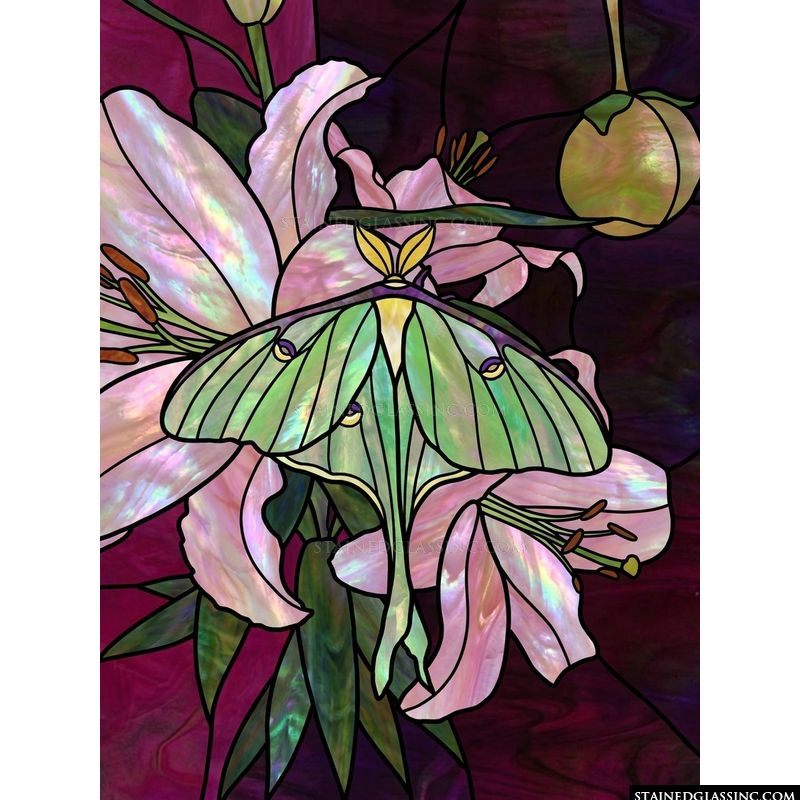 Luna Moth on Pink Lilies