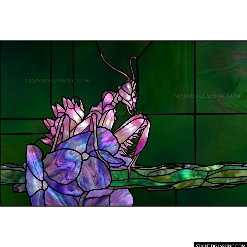 Orchid Mantis in Luminous Violet