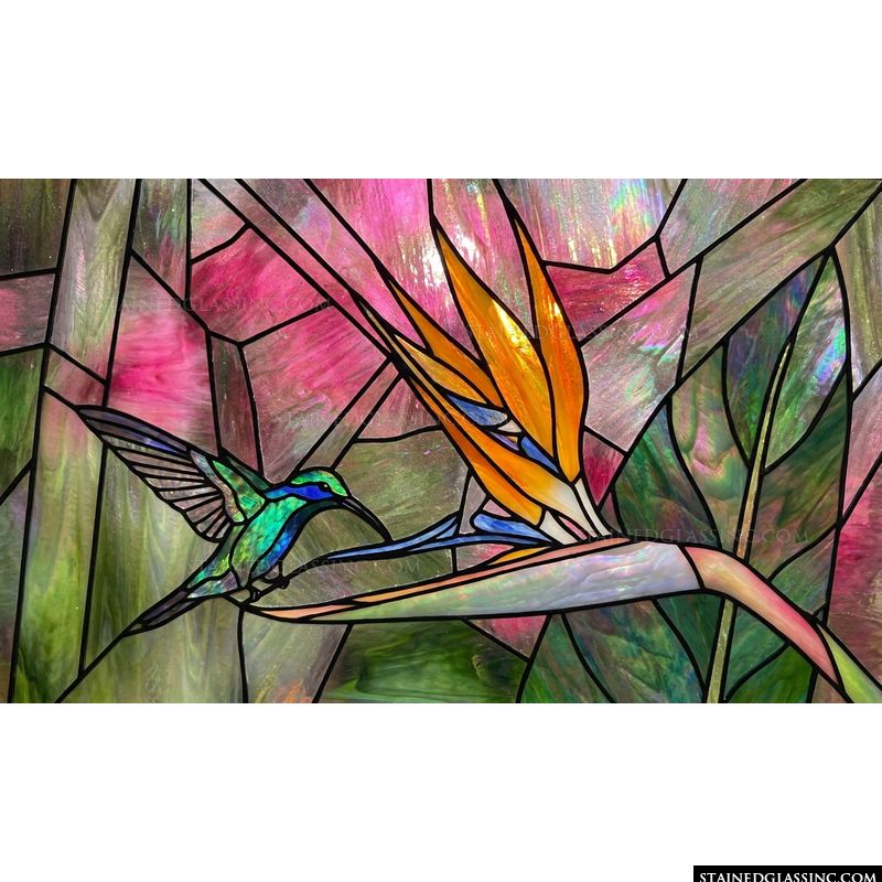 Hummingbird and Bird of Paradise
