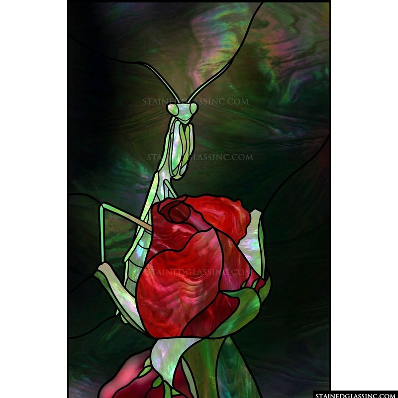 Praying Mantis on a Red Rose