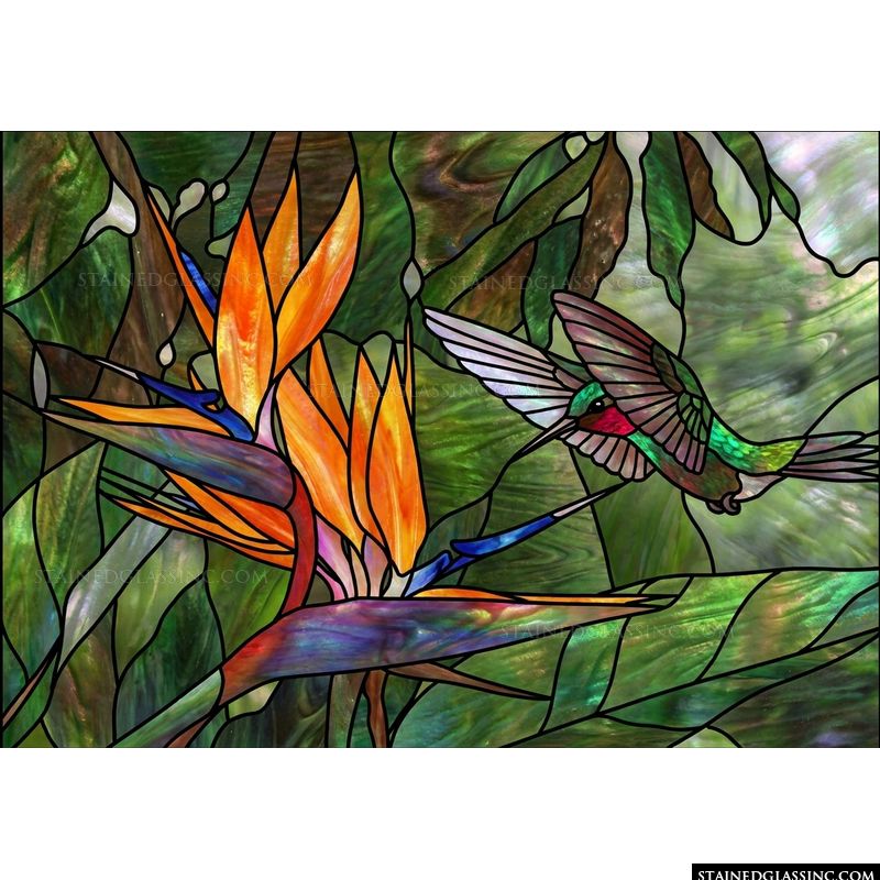 Hummingbird with Bird of Paradise