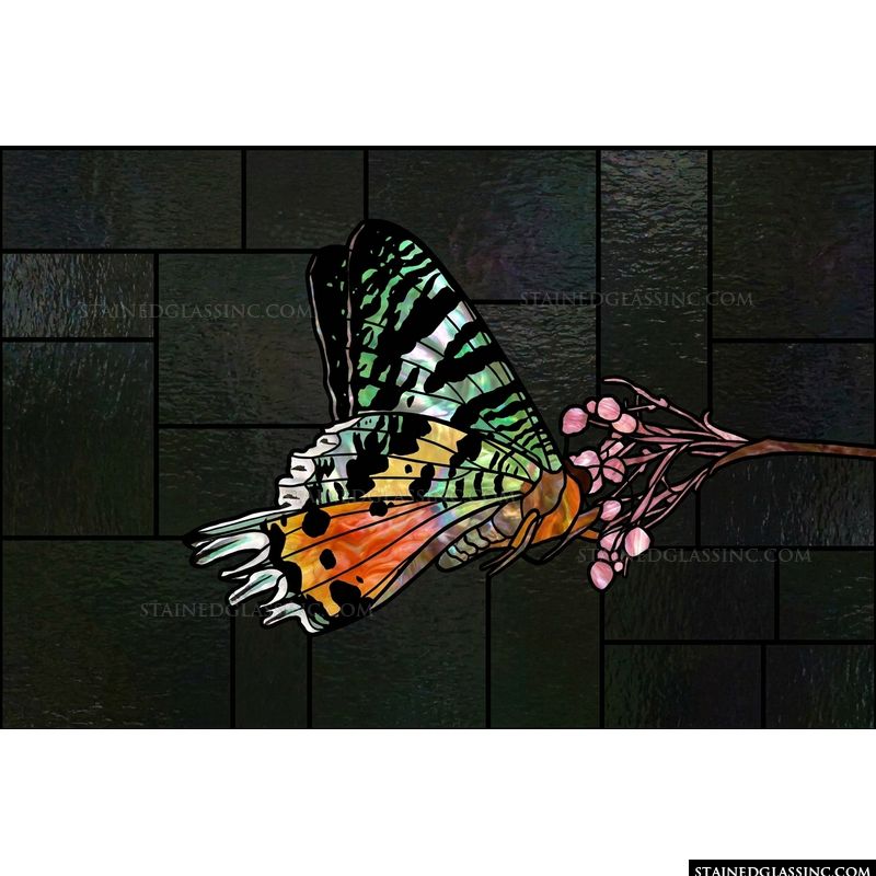 Iridescent Butterfly on Flowering Branch