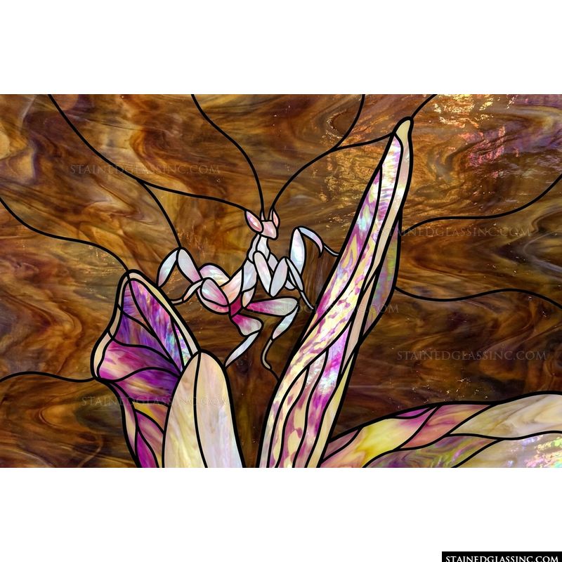 Orchid Mantis Among Tropical Petals