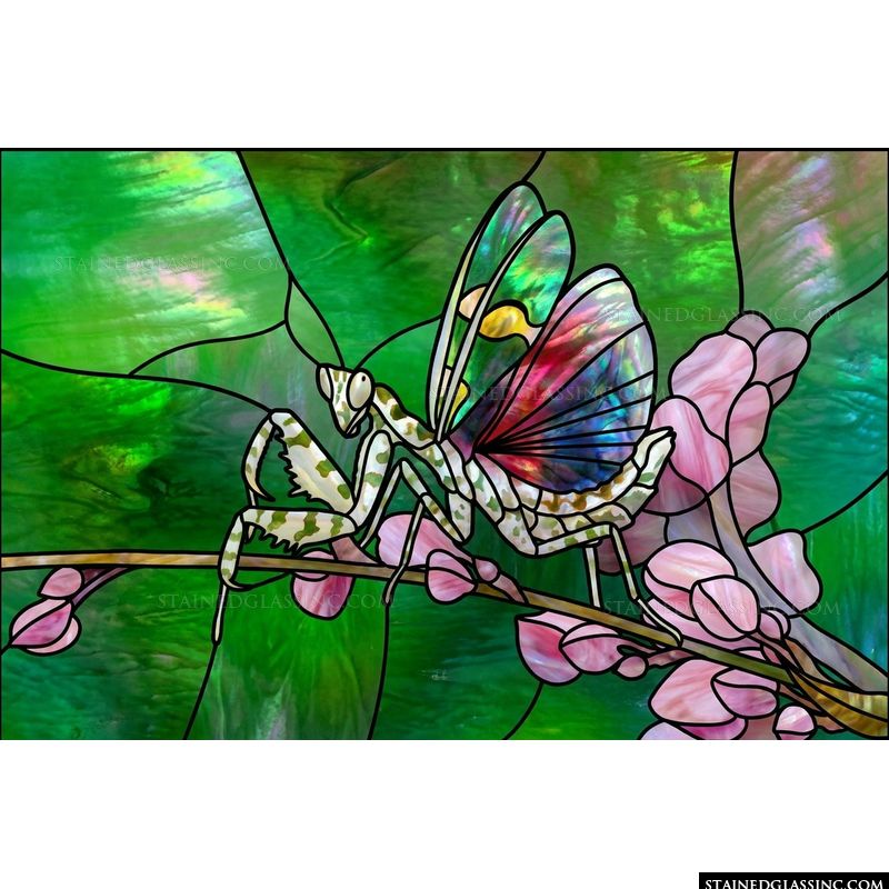 Mantis on Spring Blossoms