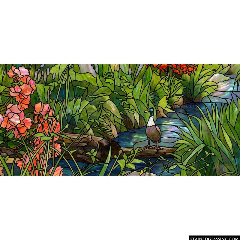 Mallard Drake on a Woodland Stream
