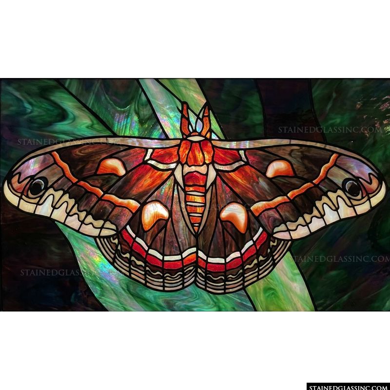 Cecropia Moth in Autumnal Tones