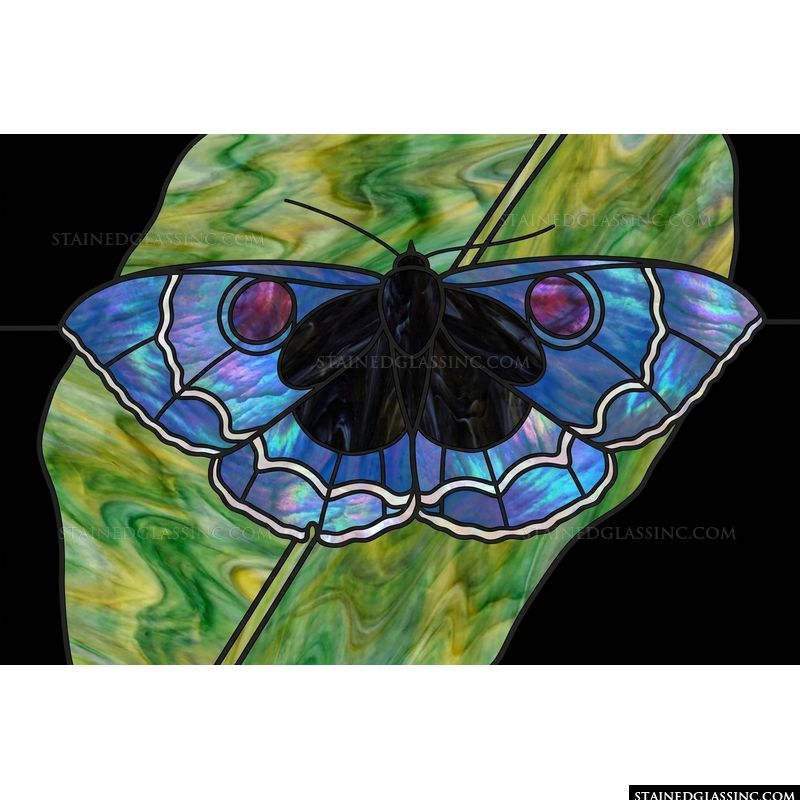 Iridescent Butterfly on Green Leaf