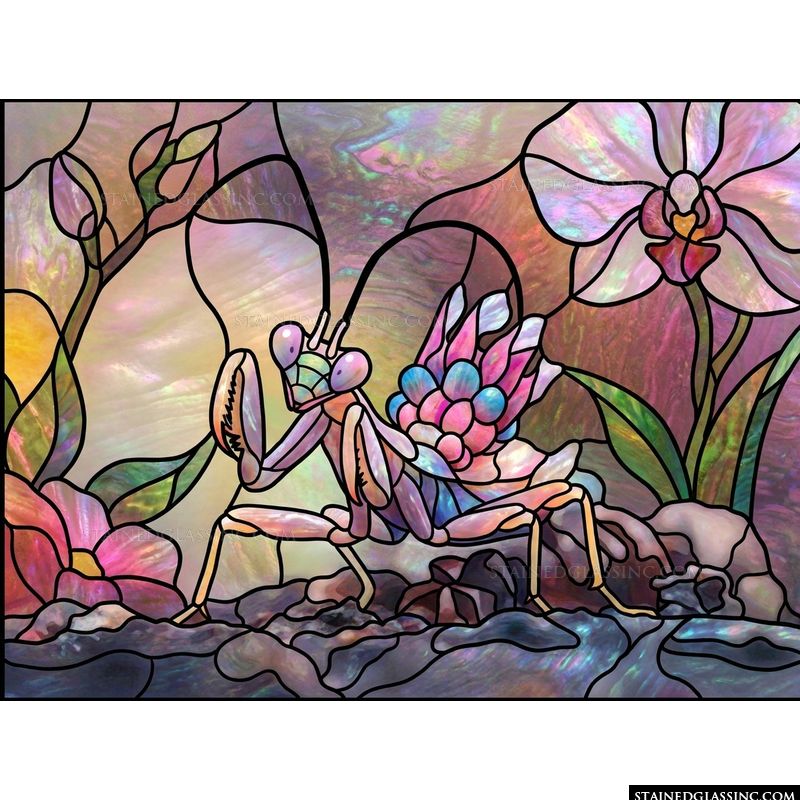 Iridescent Mantis in an Orchid Garden