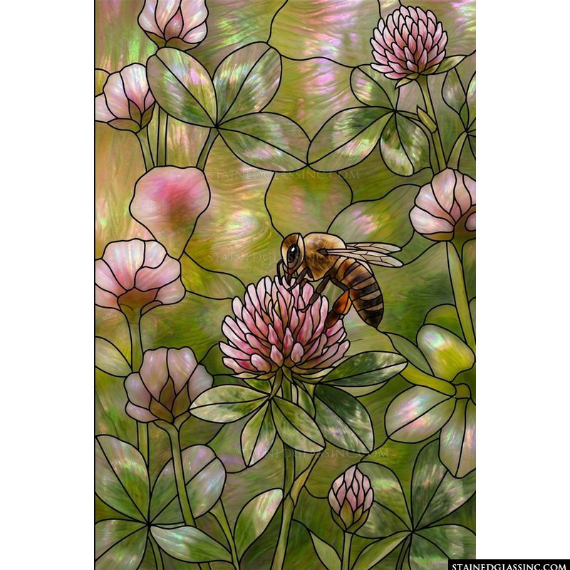 Honeybee on Pink Clover