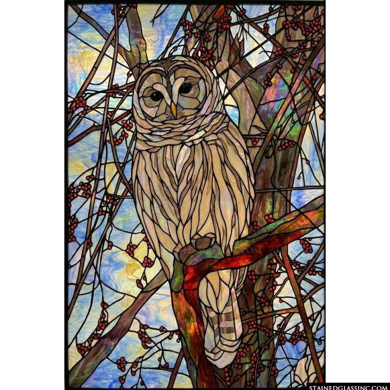 Wise Owl Perched in Berry Branches