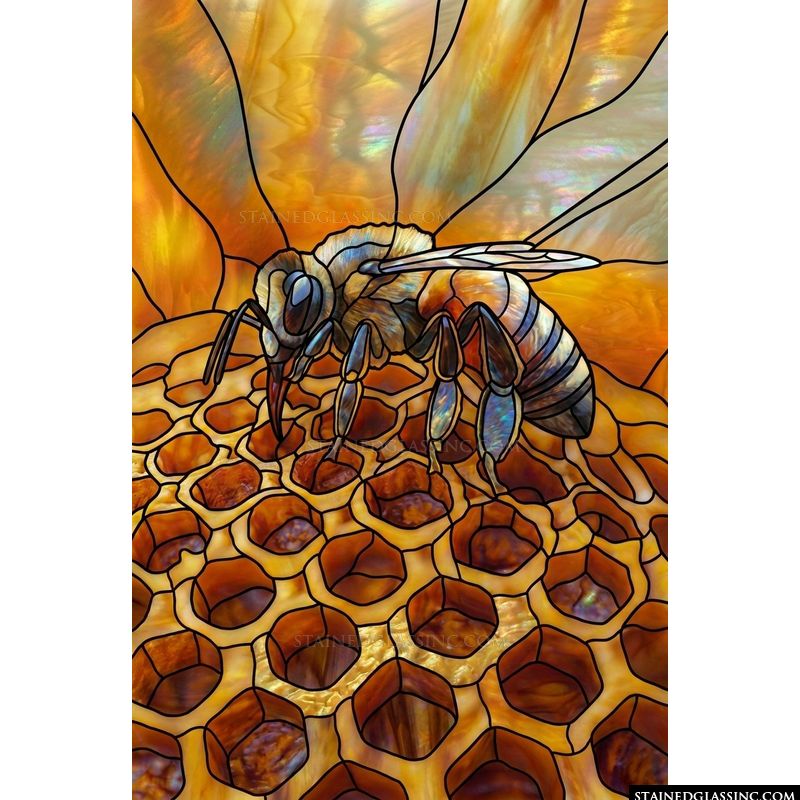 Honeybee on Golden Honeycomb