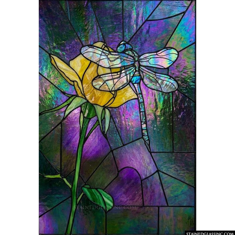 Dragonfly on Golden Rose