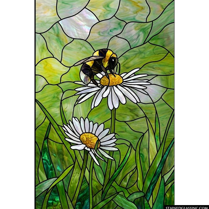 Bumblebee on Daisy Pair