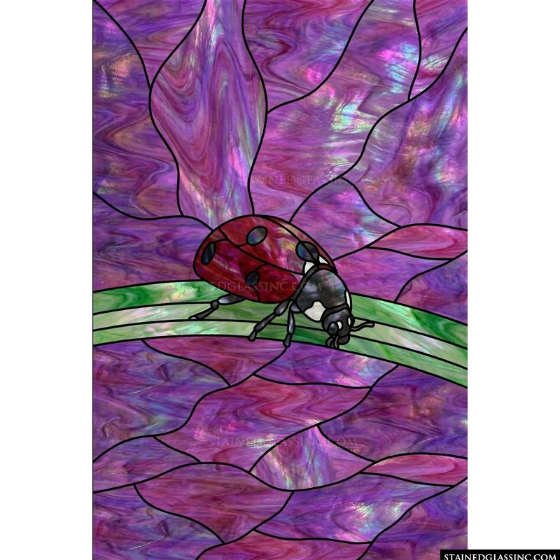 Ladybug on a Blade of Grass