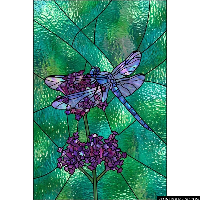 Dragonfly Resting on Purple Blooms